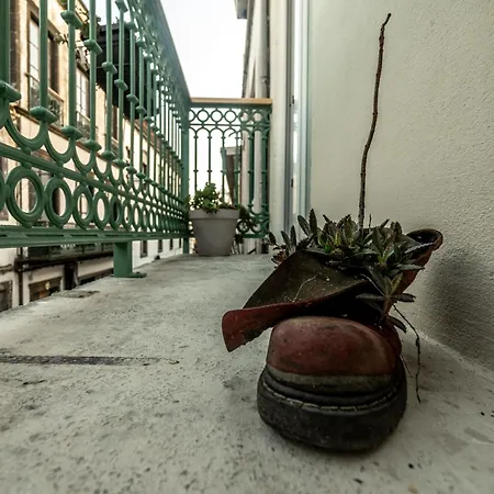 Knock Knock I Apartment